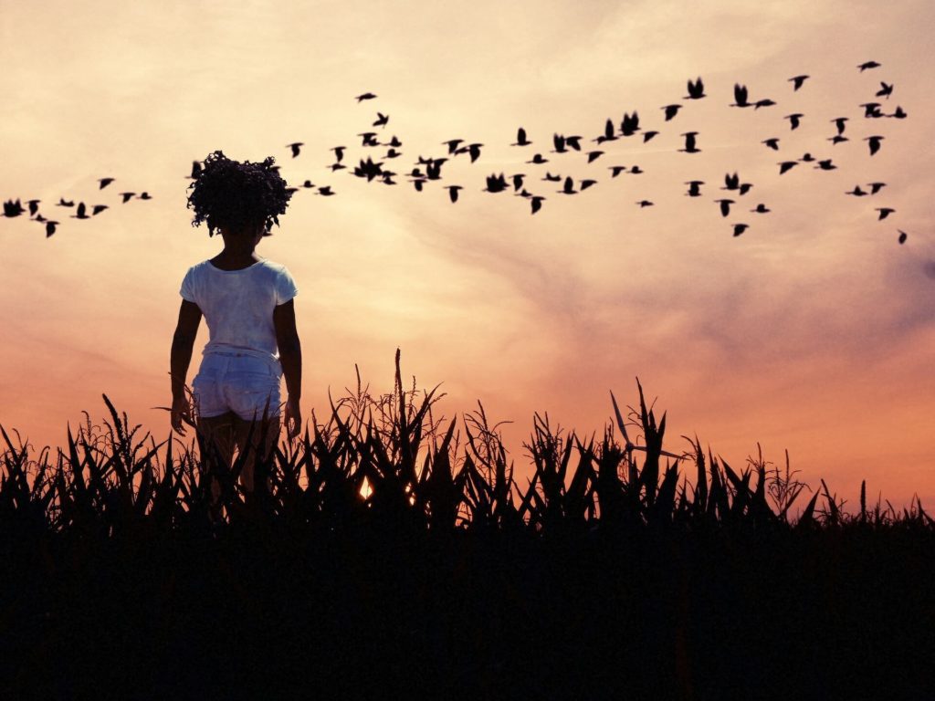 Young girl standing in a field watching a flock of birds.